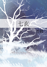 七玄诀txt全集下载