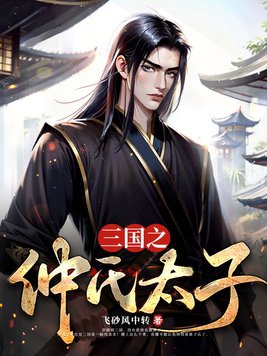 三国之仲谋天下孙策